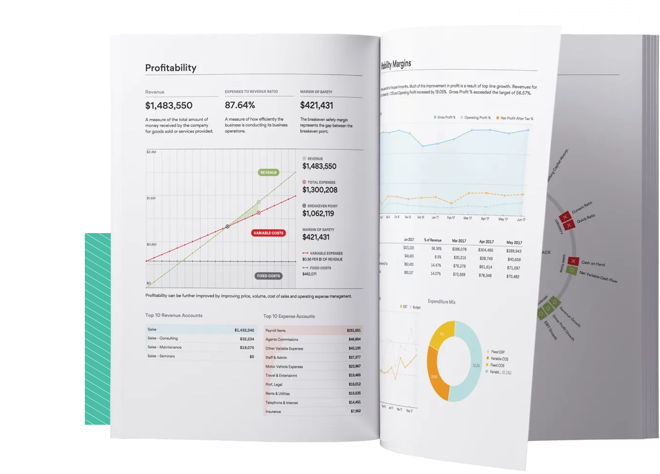 An example diagnostic report, open at the profitability pages, showing revenue, margin of safety and expense breakdowns